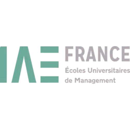 Logo de l'Institut d'Administration des Entreprises avec la charte graphique bleu gris du site web de Laure Breitenstein
