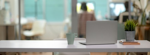 Bureau de Laure Breitenstein avec un ordinateur, une plante verte, ambiance concentration et zen